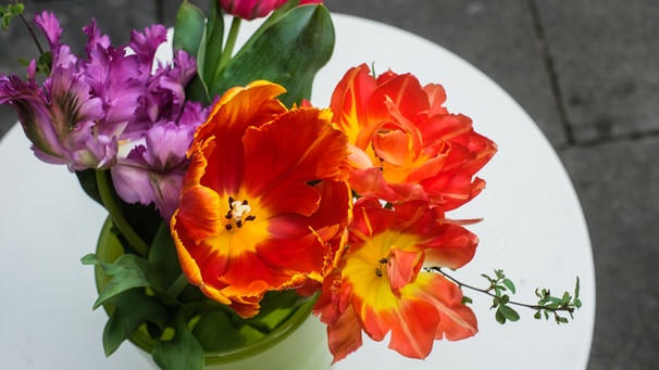 Tulpen in einer Vase. | Bild: BR/Johanna Schlüter