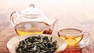 Getrocknete Kräuter, eine Kanne und eine Tasse mit Tee | Bild: MEV Creativstudio