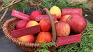 Alte Apfelsorten  | Bild: Brigitte Goss