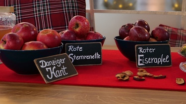 Verschiedene Apfelsorten, angerichtet in schwarzen Schalen | Bild: BR/Brigitte Goss