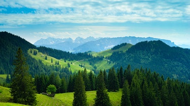 Wanderung auf den Geigelstein in den Chiemgauer Alpen | Bild: Nina Schlesener
