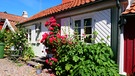 Ein schwedisches Haus mit Stockrosen davor | Bild: BR / Brigitte Goss