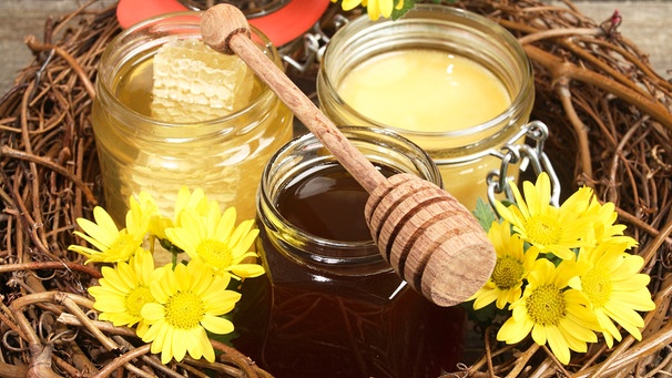 Gläser mit verschiedenen Honigsorten. | Bild: picture alliance 