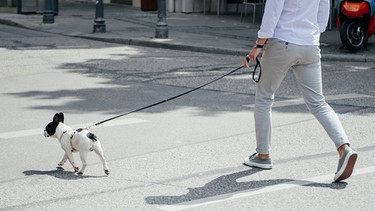 Mann mit Hund auf einer Straße in der Stadt | Bild: BR / Julia Müller