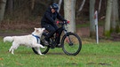 Fahrradfahrerin mit Hund | Bild: BR / dpa-Bildfunk / Philipp Schulze