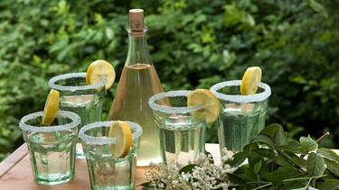 Holunderblüten, Zitronen, eine Flasche mit Holunderblütensirup und fünf Gläser mit einem Zuckerrand | Bild: picture-alliance/dpa
