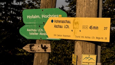 Zur Hofalm im Chiemgau | Bild: Nina Schlesener