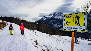 Aufstieg zum Hirscheck-Gipfel | Bild: BR / Nina Schlesener