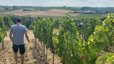 Blick aufs Weingut Bischel in Appenheim | Bild: BR / Conny Ganß