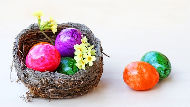 Ostereier richtig kochen und färben - Nest mit bunten Eiern | Bild: Colourbox