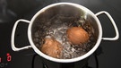 Eier kochen in einem Topf. | Bild: picture-alliance/dpa