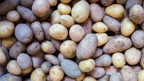 Verschieden farbige Kartoffeln | Bild: mauritius images / Christina Czybik