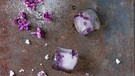 Lila Blüten mit weißem Zucker auf einer rostfarbenen Fläche | Bild: mauritius images / TPP / Natasha Breen