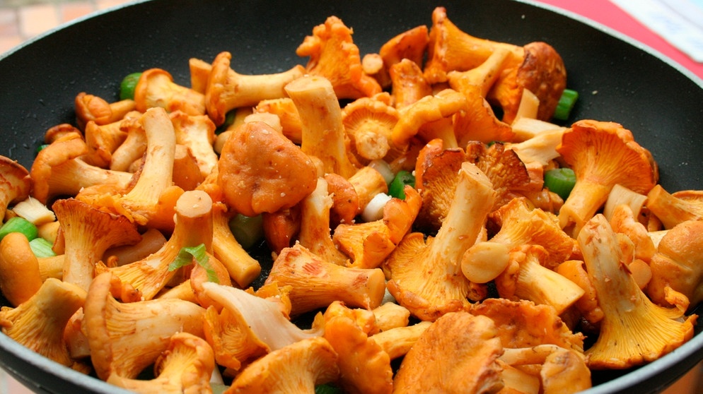 Kochtipp: Tipps vom Sternekoch: Pilze richtig würzen und anbraten ...