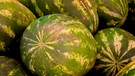 Close: sieben reife Wassermelonen | Bild: mauritius images / Ekaterina Chuyko / Alamy