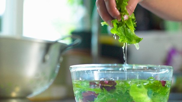 Eine Frauenhand, die Salatblätter aus einer Plastikschüssel hebt. Die Schüssel ist mit Wasser und grünen Salablättern gefüllt. | Bild: mauritius images / Cultura