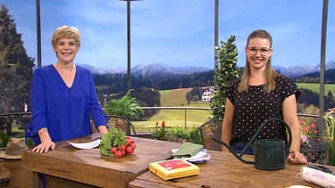 Moderatorin Sandra Bouscarrut mit Hauswirtschaftsexpertin Elke Sommer  | Bild: Wir in Bayern
