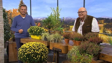 Moderator Michael Sporer mit Gartenexperte Andreas Modery
| Bild: Wir in Bayern