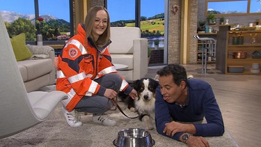 Moderator Dominik Pöll mit der Rettungshundeführerin Alexandra Kriechbaumer und ihrem Hund Toby | Bild: Wir in Bayern