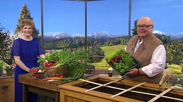 Moderatorin Sandra Bouscarrut und Pflanzen-Experte Andreas Modery, der einen viereckigen Plastikkasten zeigt, der mit Salaten und Kräutern bepflanzt ist. | Bild: Wir in Bayern