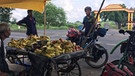 Bananas, please! In Sagar halten die durchfallgeplagten Pasta Gorillas am Straßenrand und füllen ihren Proviant - mit dem für sie gerade wichtigsten Enegielieferanten: Bananen... | Bild: Nico und Julian Schmieder