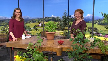 Moderatorin Andrea Lauterbach und Gartenexpertin Brigitte Goss.  | Bild: BR