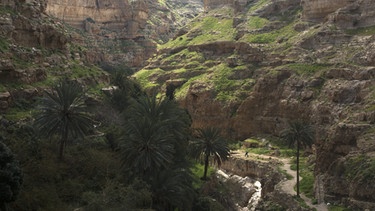 Wadi Qelt | Bild: picture-alliance/dpa
