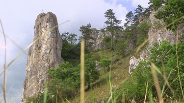 Felsen im Naturpark Altmühltal | Bild: BR