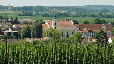 Die Stadtsilhouette von Siegenburg mit Hofendolden im Vordergrund. Szene aus "BR Heimat - Zsammgspuit in der Holledau". | Bild: BR