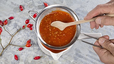 Hagebuttenmus wird für die Suppe aus Hagebutten benötigt. | Bild: picture alliance / blickwinkel/F. Hecker