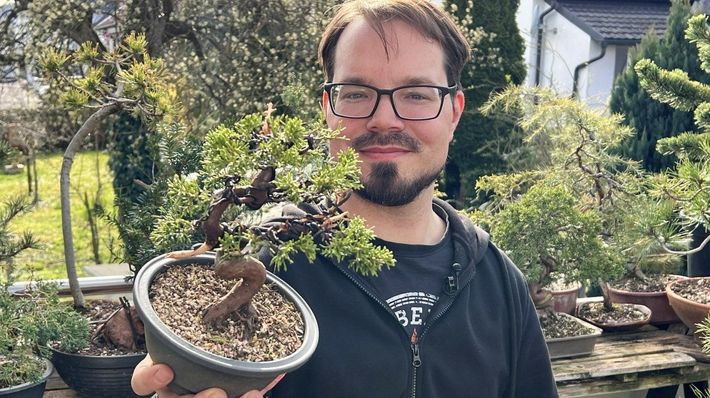 Stefan Gößwein aus Zellingen in Unterfranken gestaltet Bonsai-Bäume nach japanischem Vorbild und nimmt damit beim Deutschen Bonsai-Preis teil. | Bild: Guido Saum