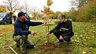 Christian Vogt (re) und Christian Kniepkamp, Inhaber von "Pro Arboris" beim Pflanzen einer Eiche in Taufkirchen | Bild: BR / Peter Solfrank
