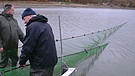 Der Ellertshäuser See wird mit Zugnetzen abgefischt | Bild: BR