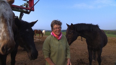 "Pferdefrau" Elisabeth Strik bei den Wallachen, die im Grieshof bei Zeitlofs ihr Gnadenbrot kriegen. | Bild: BR