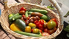 Frisch geerntetes Gemüse im Korb | Bild: BR