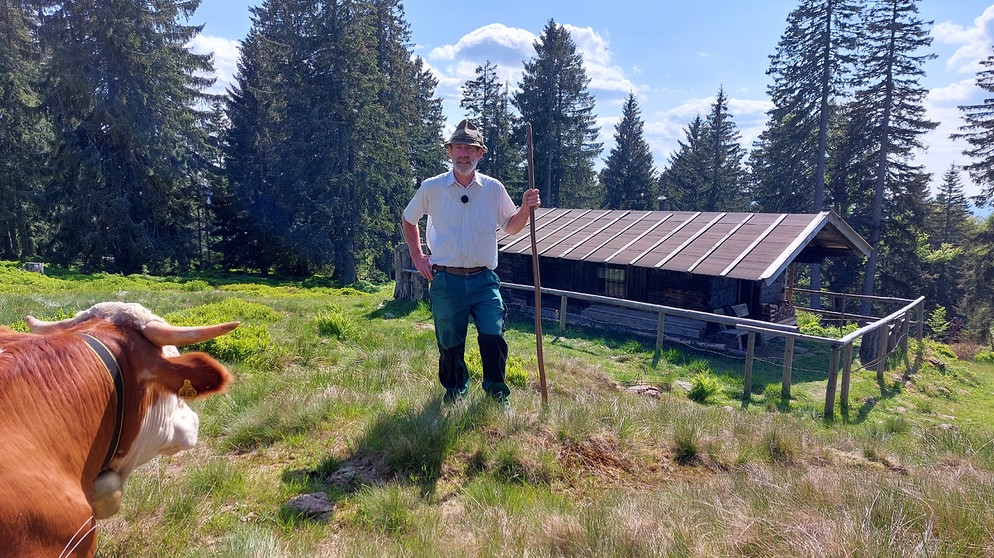 Landwirt Ludwig Fritz ist einer der letzten Weiderechtler in Bodenmais und treibt sein Vieh sogar noch zu Fuß den Berg hinauf.  | Bild: BR / Sabine Frühbuss