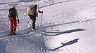 Skibergsteigen umweltfreundlich | Bild: BR