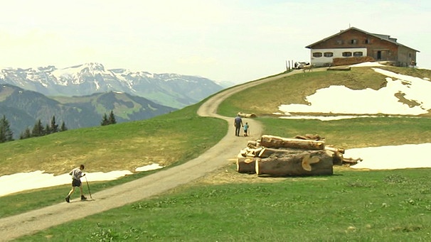 Sommer auf der Alpe Spicherhalde | Bild: BR
