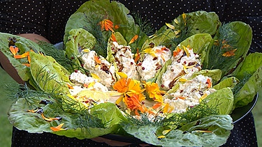Alte Salatsorten | Bild: BR