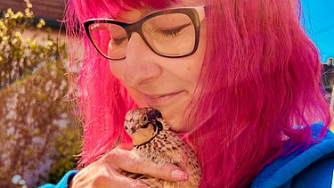Wachteln halten liegt im Trend: Ramona Pöllath zeigt unter Wachtelparadies-Ebnath, wie sie es den kleinen Hühnervögeln und ihren Zwerg-Seidenhühnern schön macht | Bild: BR / David Sünderhauf