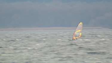 Windsurfer auf dem Ammersee | Bild: BR