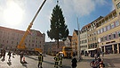 Ein Christbaum für Augsburg | Bild: BR