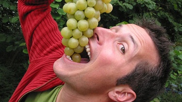 Willi Weitzel möchte wissen, wie aus Trauben Wein gemacht wird. Er verfolgt den Weg der Trauben bis in die Flasche. | Bild: BR/megaherz gmbh/