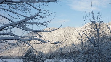 Winterlandschaften bei Pfronten. | Bild: BR/Dr. Michael Zehetmair