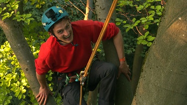 Vom Urwald lernen | Checker Julian klettert auf einen riesigen Baum. | Bild: BR | megaherz gmbh | Pius Neumaier