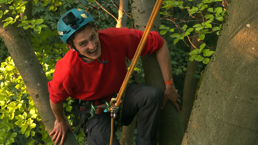 Vom Urwald lernen |  Checker Julian klettert auf einen riesigen Baum. | Bild: BR | megaherz gmbh - Pius Neumaier