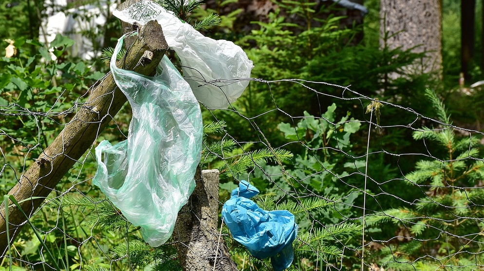 Plastiktüten hängen an einem Metallzaun an angrenzendem Wald | Bild: Pixabay