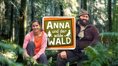 Anna und der wilde Wald: Logo / Anna im wilden Bayerischen Wald | Bild: BR