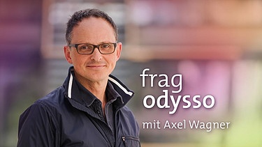 Frag odysso mit Axel Wagner | Bild: SWR