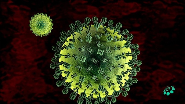 Grippeviren | Bild: colourbox.de